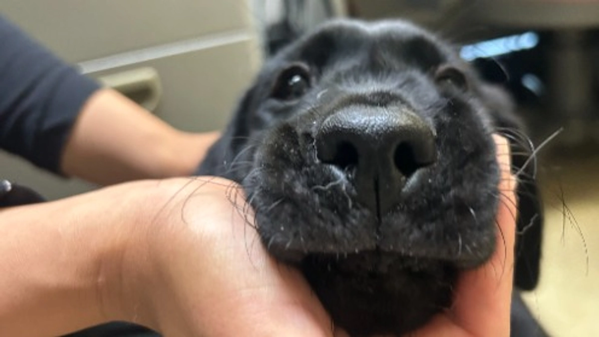 仲間が増えました！パート２