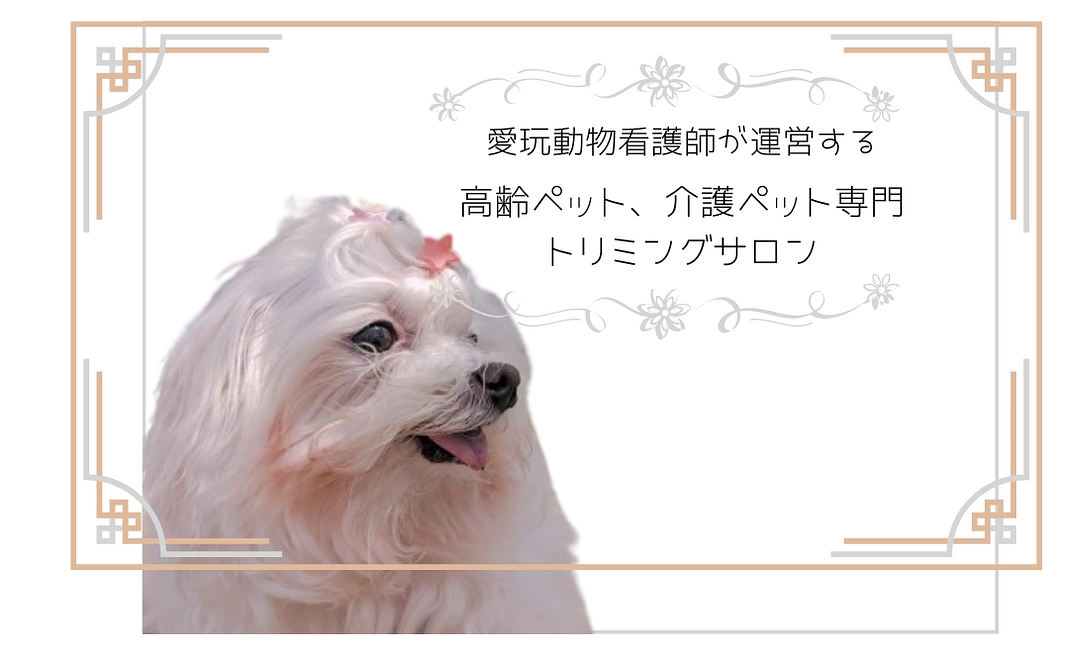 お気持ちコース