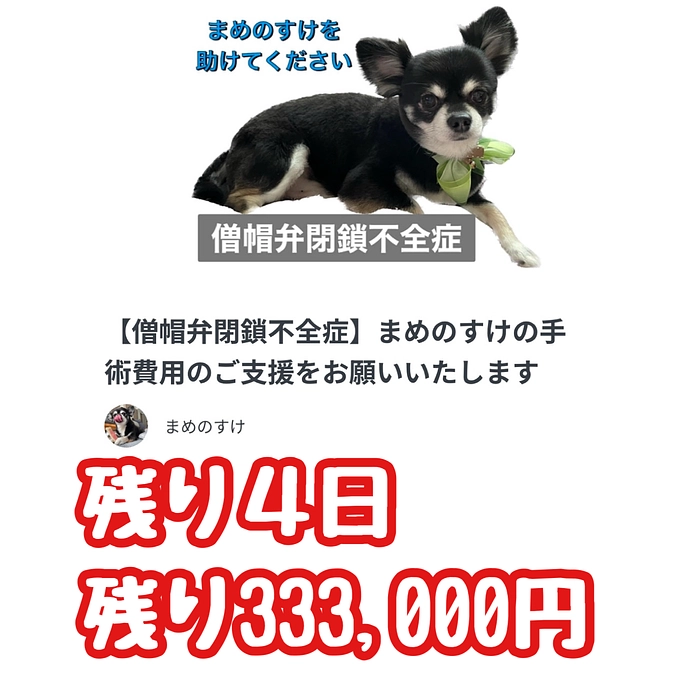 残り４日　達成率５８％