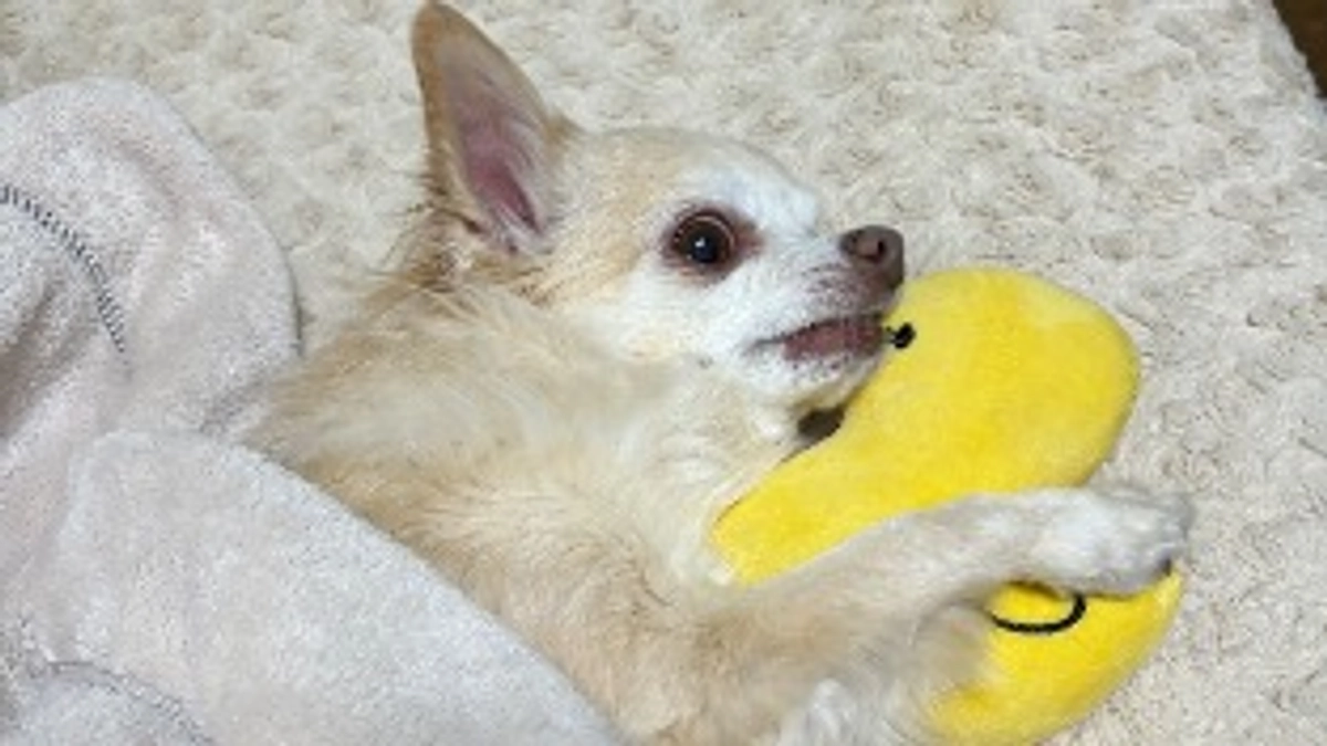 優しさのお誘い