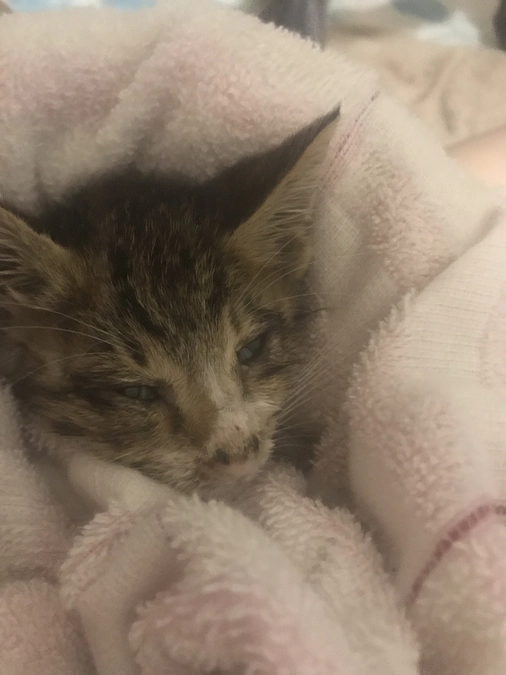 お金の使い方について