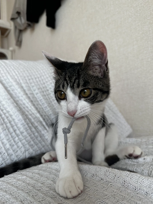 目標達成のご報告と心からの感謝