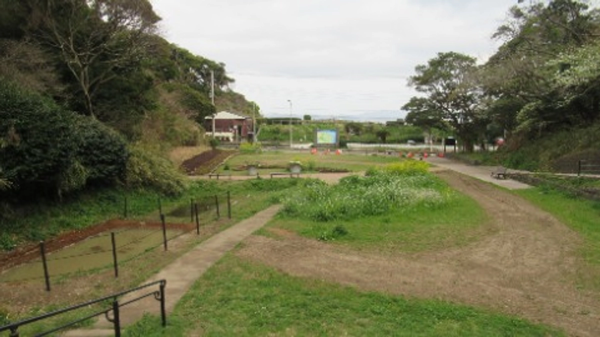 【完成のご報告】つながりの谷の池と花壇が完成しました！