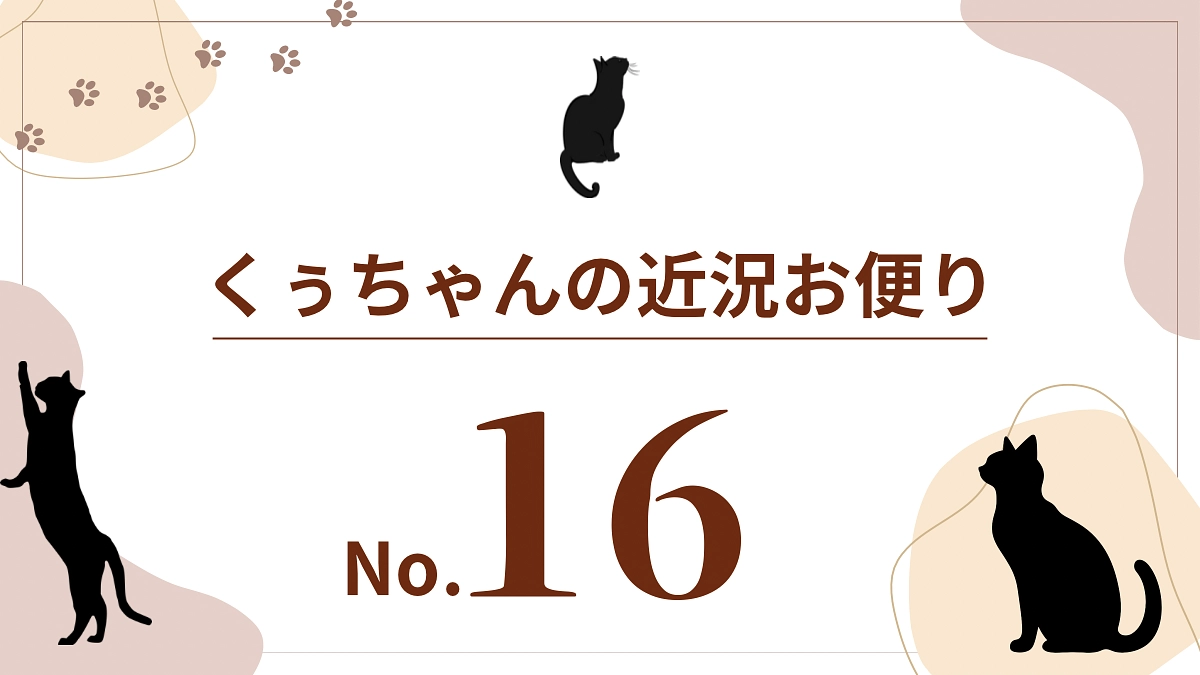 【くぅちゃんの近況おたより（8月23日）】