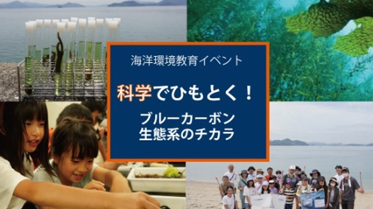 香川県庵治 イベント情報：科学でひもとく！ブルーカーボン生態系のチカラ