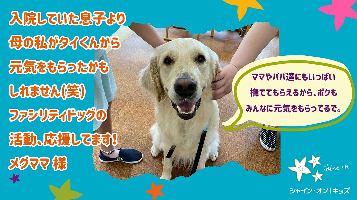 応援コメントのご紹介