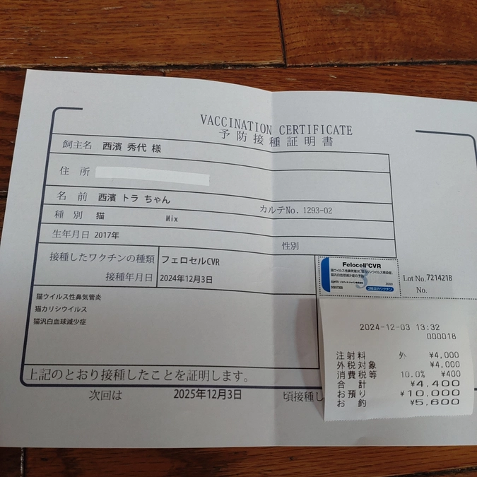 ワクチン接種💉