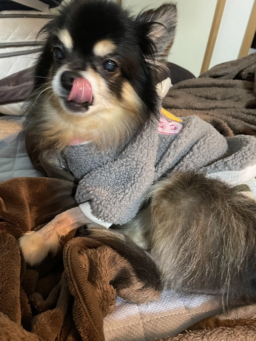 活動報告→インスタ