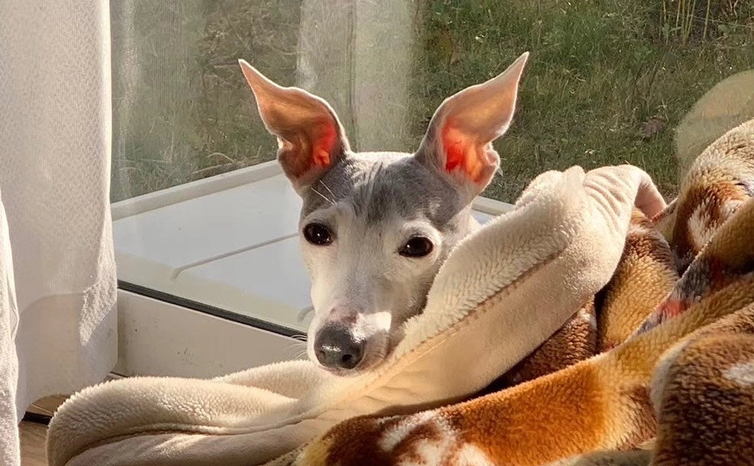 『1,000円』感謝メールと経過のご報告