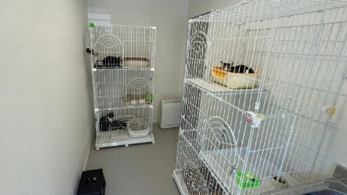 【40%到達！】開放型シェルターのバックヤードでは