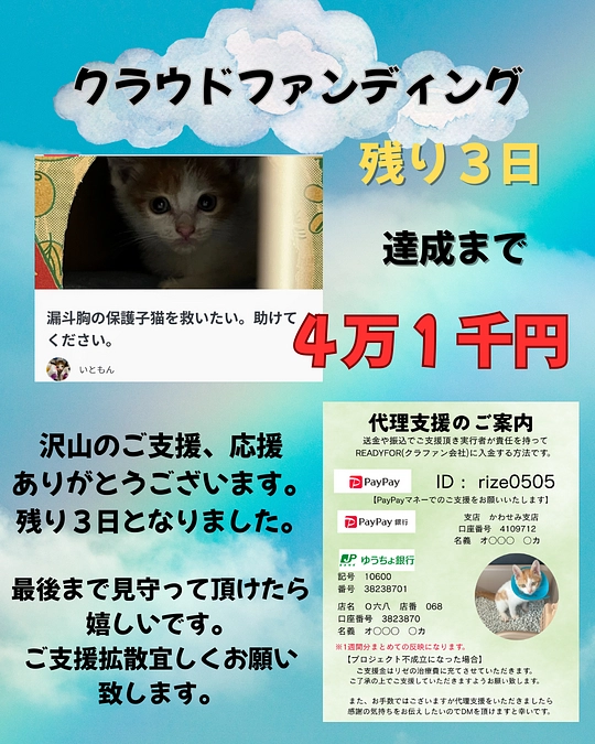 残り３日となりました。