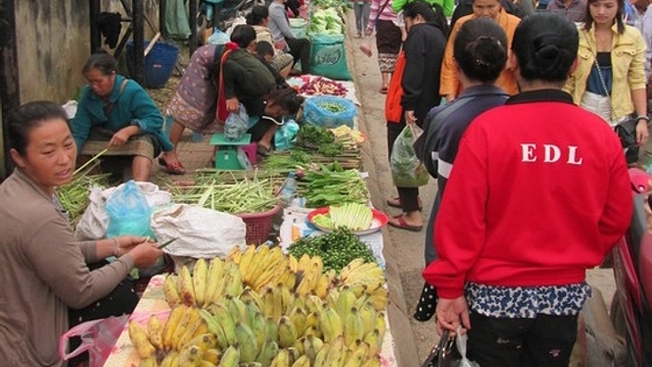 日本とラオスの架け橋となる農園。一緒に育ててくれるファン募集