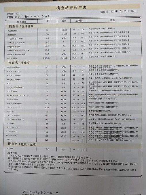 経過観察38日目
