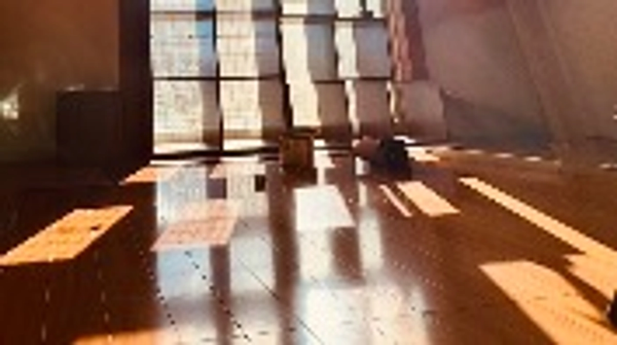 リフォーム第一弾完成と不妊手術