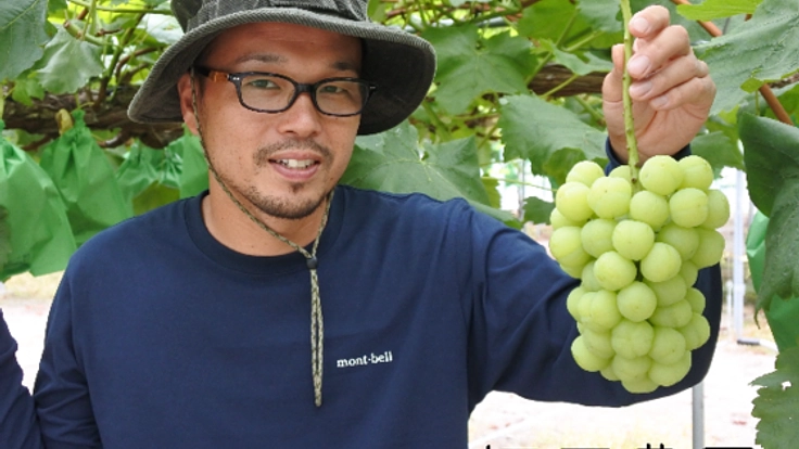 岡山発！ぶどう販売の仕組みづくりで農業にワクワクを！