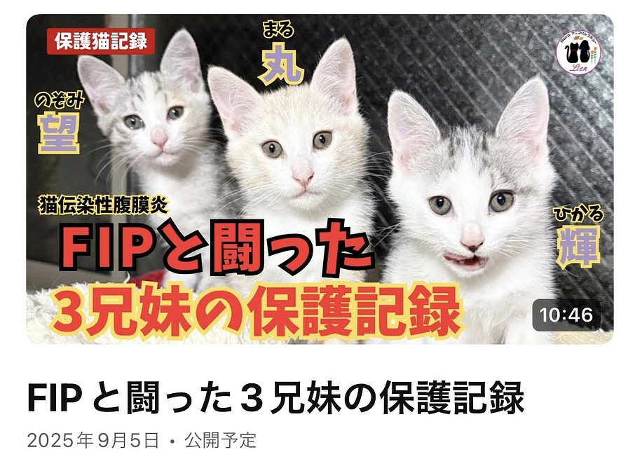 今日の丸ちゃん