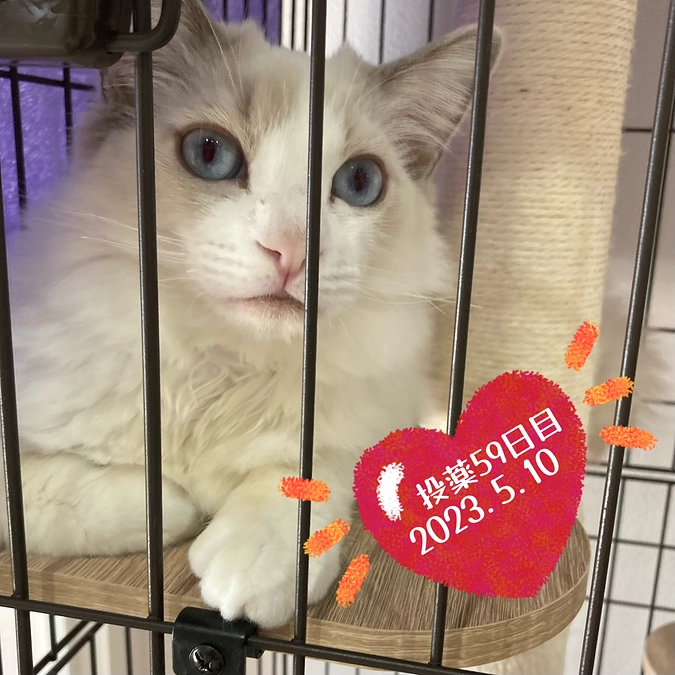 ☆投薬５９日目(2023.5.10)＆ご支援のお知らせ