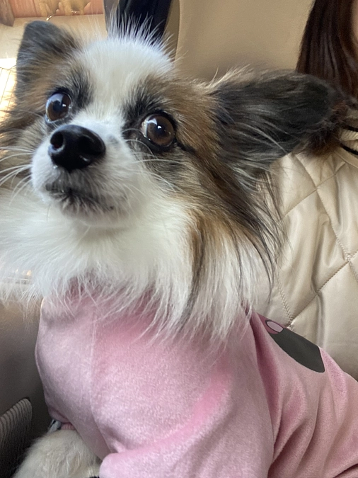 🏥 緊張する病院の日🏥