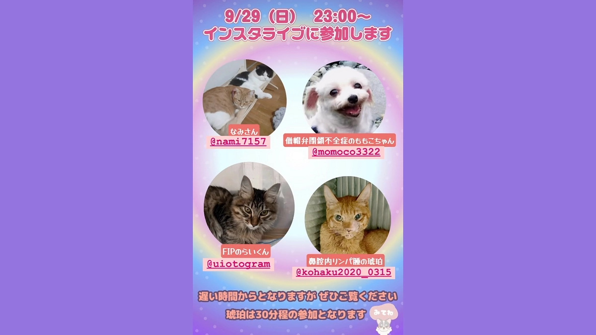 インスタライブのお知らせ📣