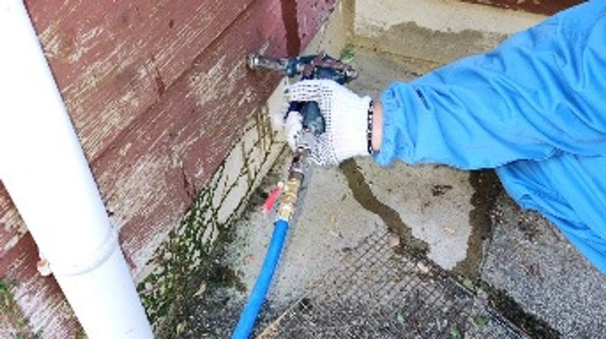 猫に害のないシロアリ消毒！