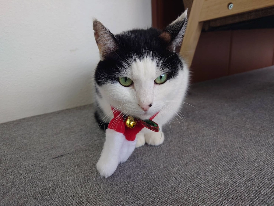 目標達成しました！