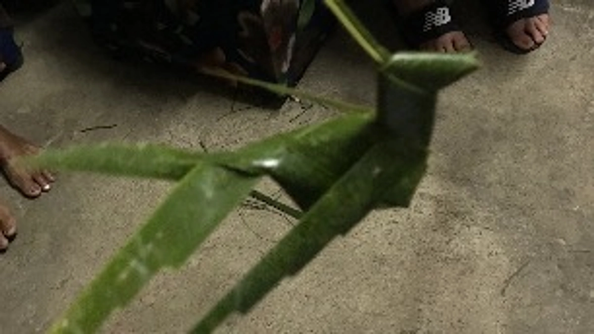 フィリピンで見たこと