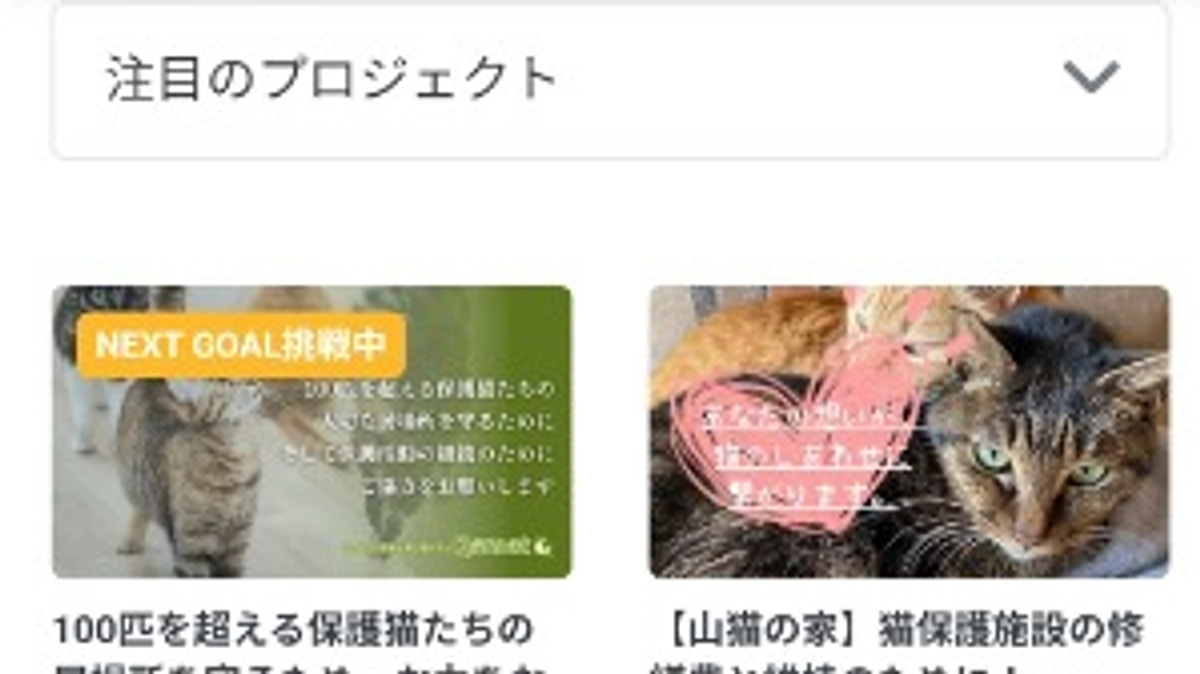 注目のプロジェクトに掲載いただきました。