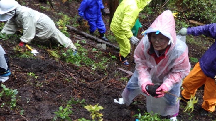 1日864,000㎥減。安城市・矢作川水源の森をあなたと守りたい。