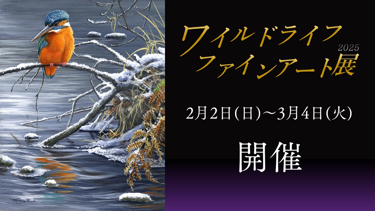 2025年も開催！ ワイルドライフファインアート展！
