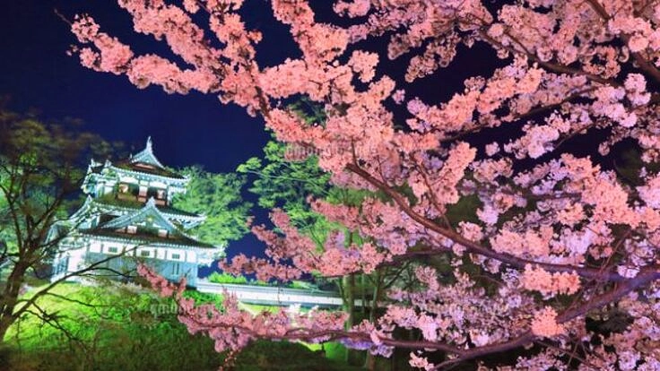 上越市　地域支援プラジェクト