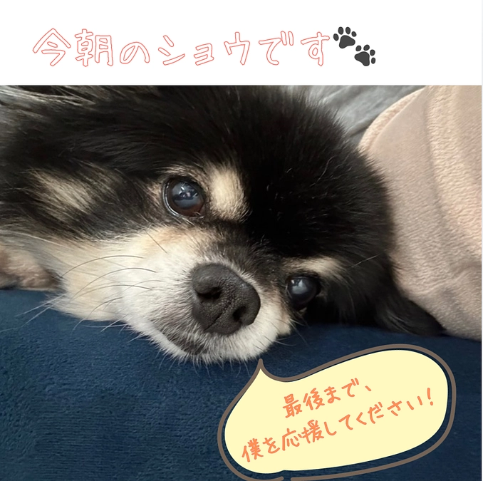 カウントダウンがはじまりました🔥🐾