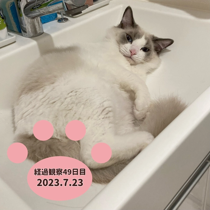 経過観察49日目(2023.7.23)