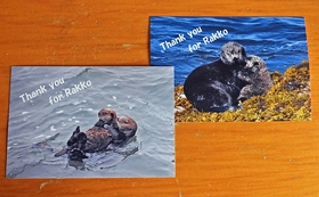 A子の本を見てください