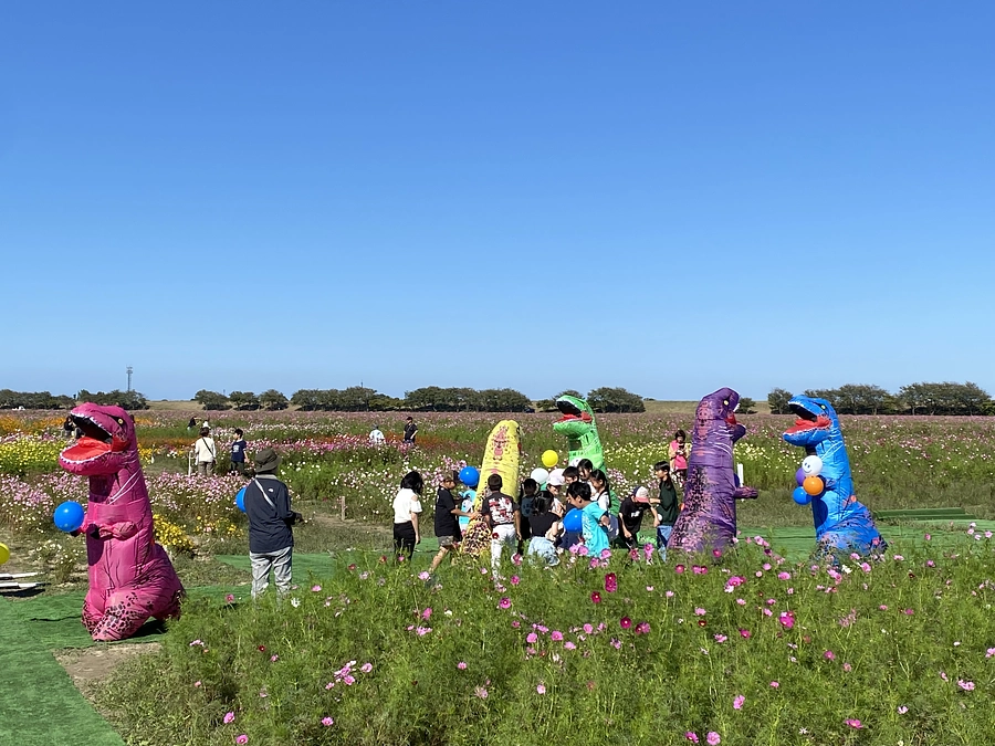 10月13日（日）コスモス広苑まつり