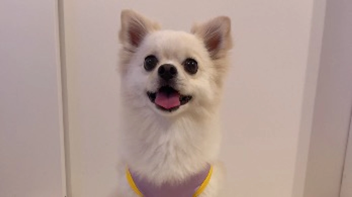 術後6ヶ月検診に行ってきました🏥