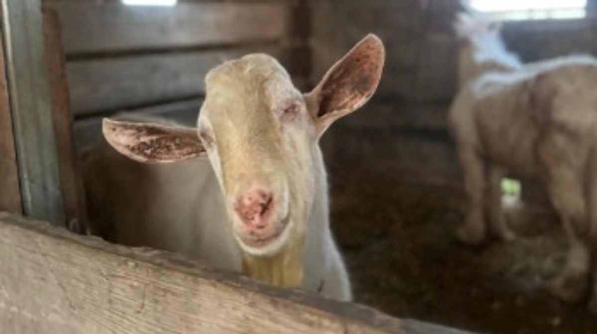 【ついに60%を突破しました】ご支援の御礼と応援コメントのご紹介！