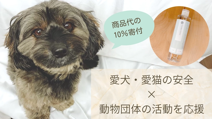 動物保護団体を継続的に応援できる寄付型無添加シャンプーを本格販売へ