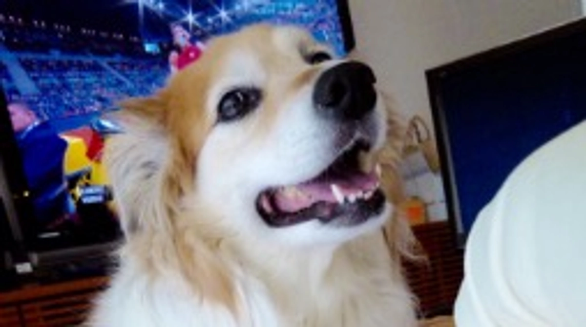 【いただいた応援メッセージをご紹介します〜①〜】