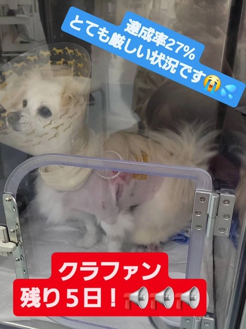 【残り5日】達成率２７％