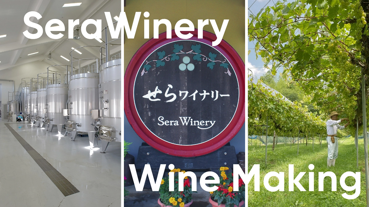 メンバー紹介｜せらワイナリーのワイン造り
