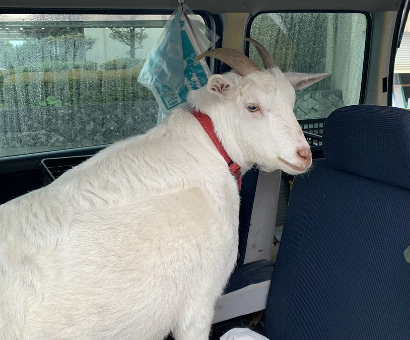 ずっとつながる良さ！