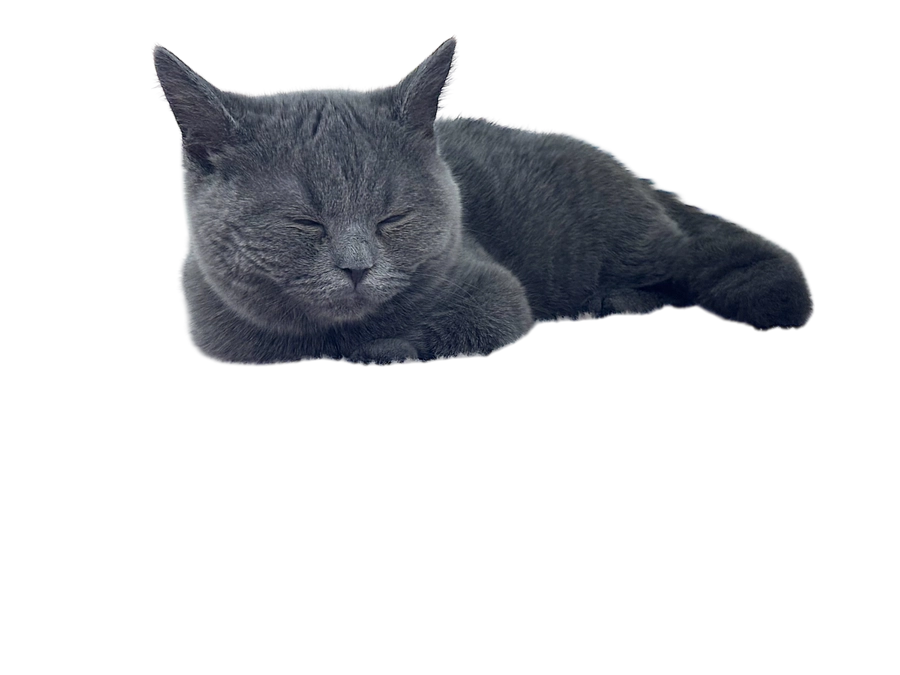 投薬治療を始めて61日目