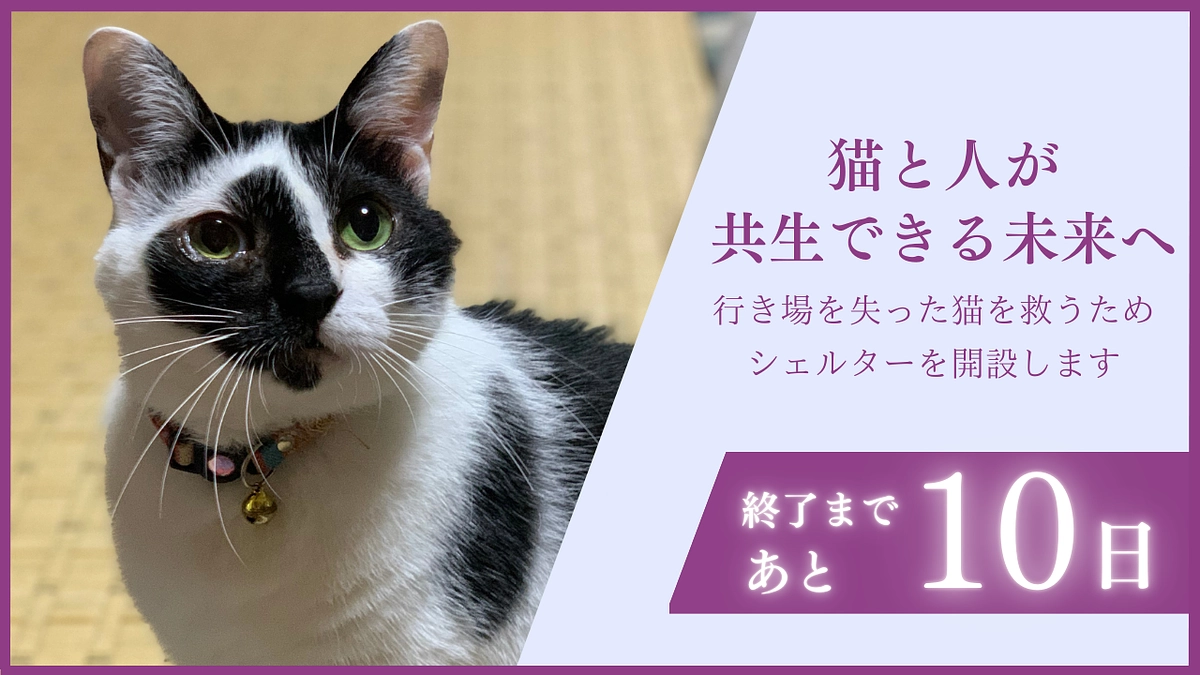 残り10日！【チラシ設置協力店舗様⑥】