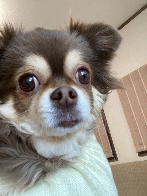 沢山のご支援ありがとうございます。