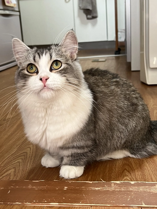 治療38日目のココロ