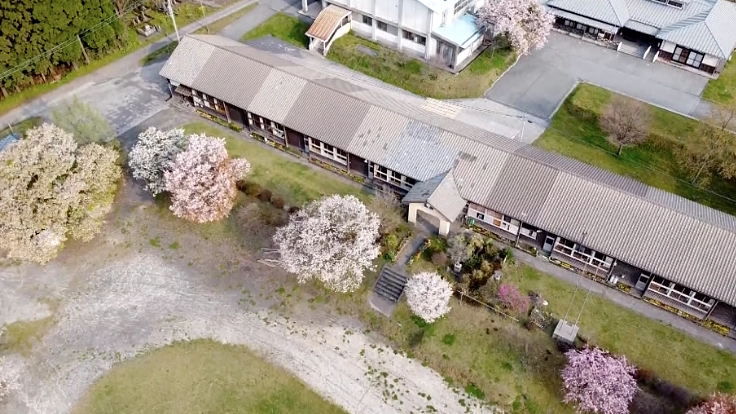 旧上色見小学校：明治時代から咲く桜の木と卒業生の思い出を守りたい！