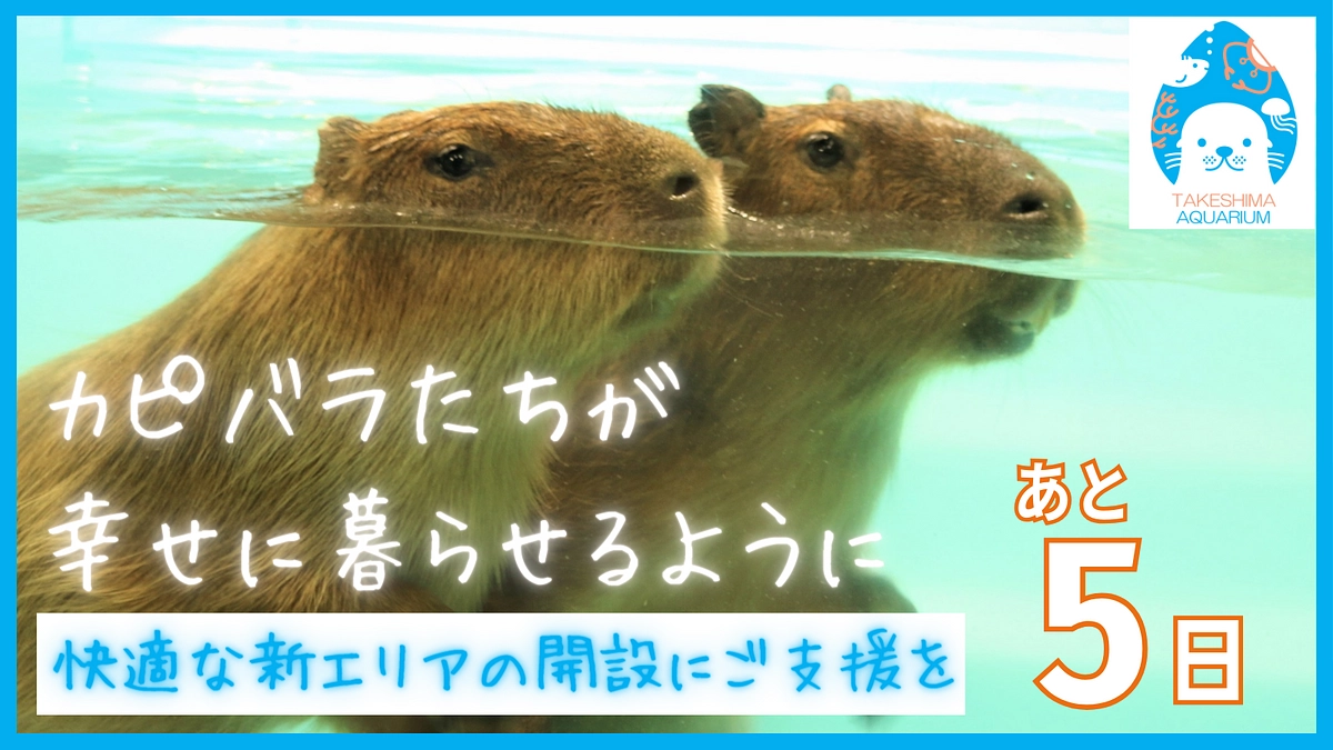 終了まで残り4日！ラストスパートで一人でも多くの方に届けたい