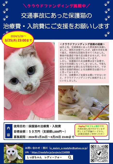 クラファン折り返し＆ポスターを作りました！