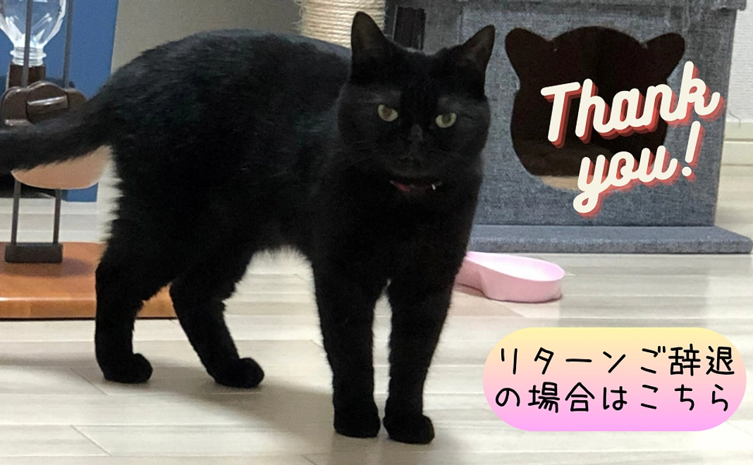 リターンご辞退でのご支援【￥1,000】