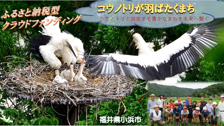 「おばまだからできること。」コウノトリと生きる地域づくり